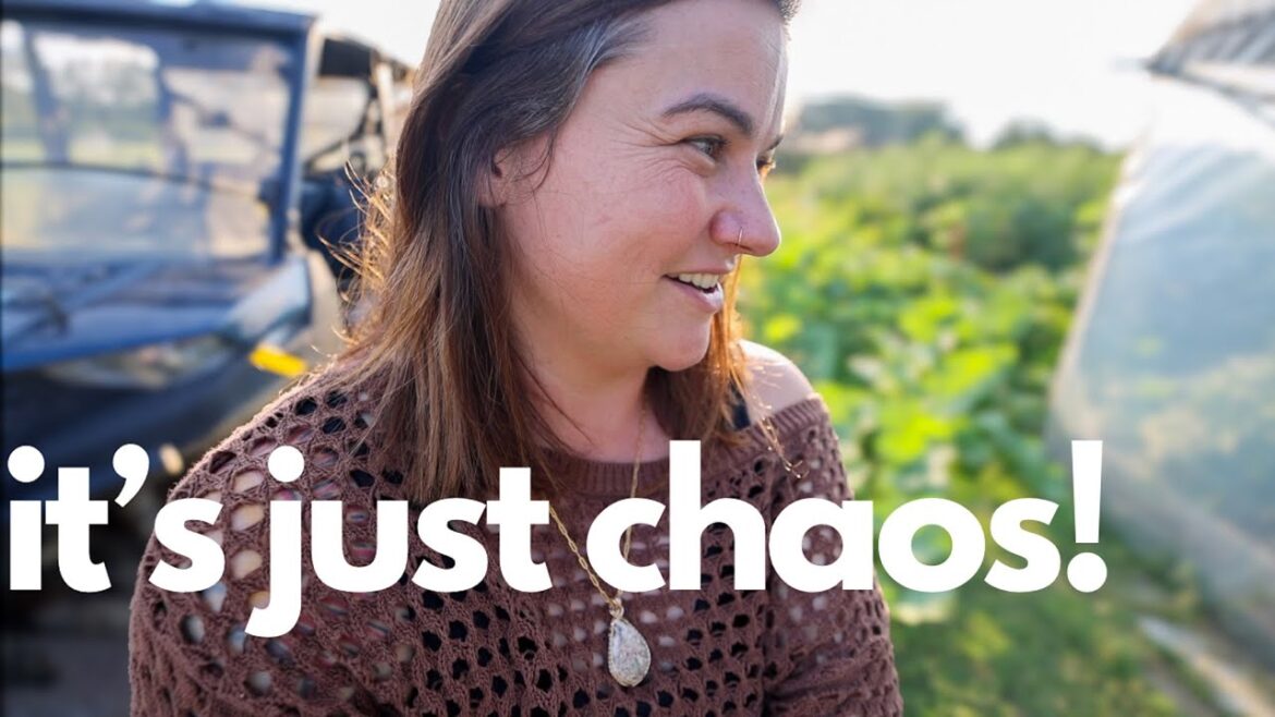 The garden is in chaos (but we are out of the woods) | VLOG