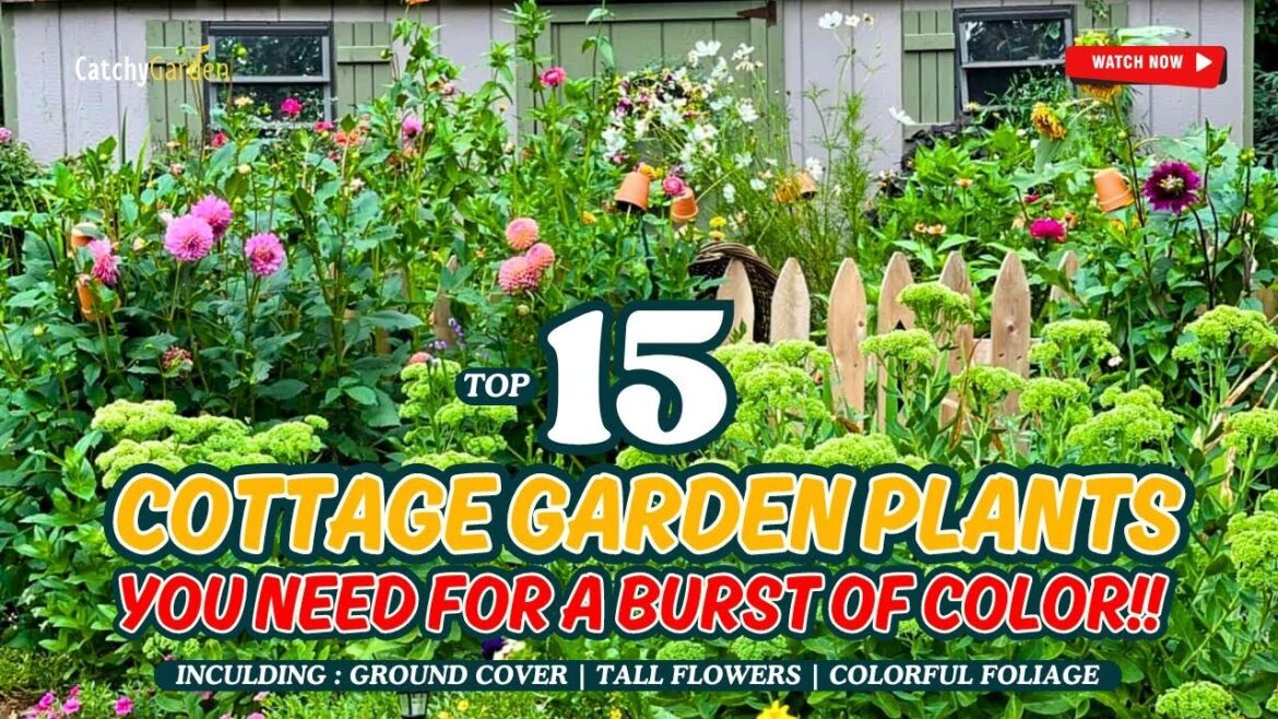 Top 15 Stunning Cottage Garden Plants You NEED for a Burst of Color!! 🌺🌿🏡🌷