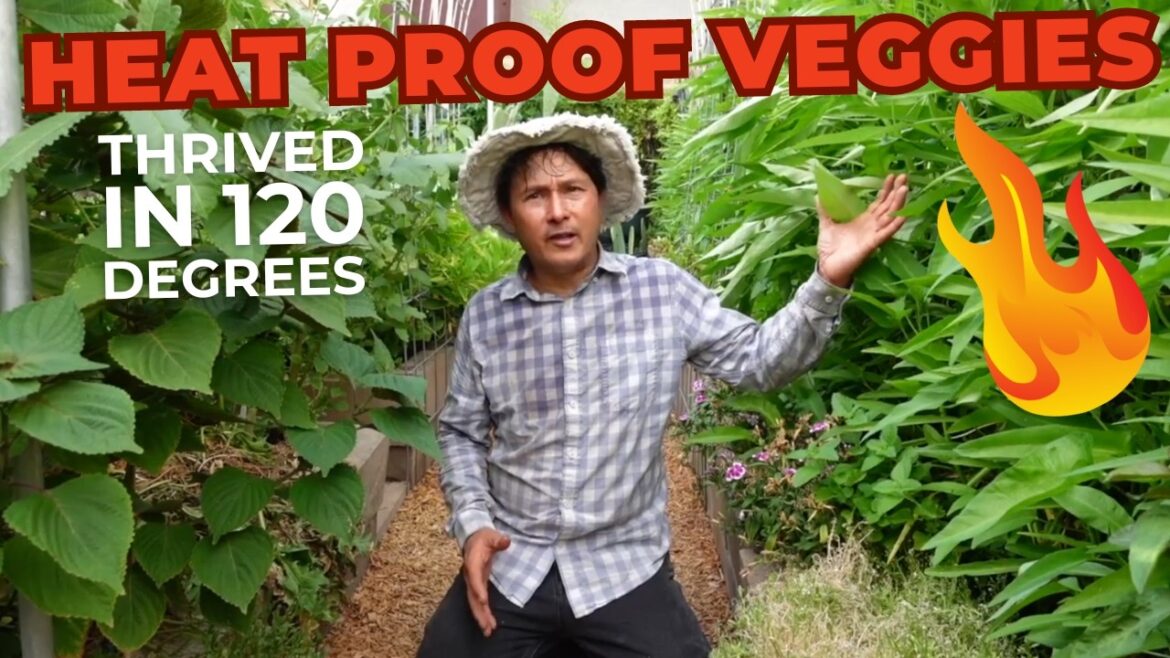 Vegetables That Thrived in 120 Degrees: Heat-Resistant Garden Tour Vegetables That Thrived in 120 Degrees: Heat-Resistant Garden Tour
