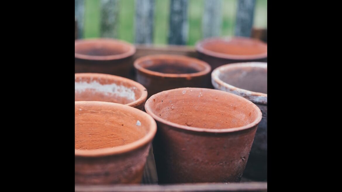 027 Garden Trends for 2023
