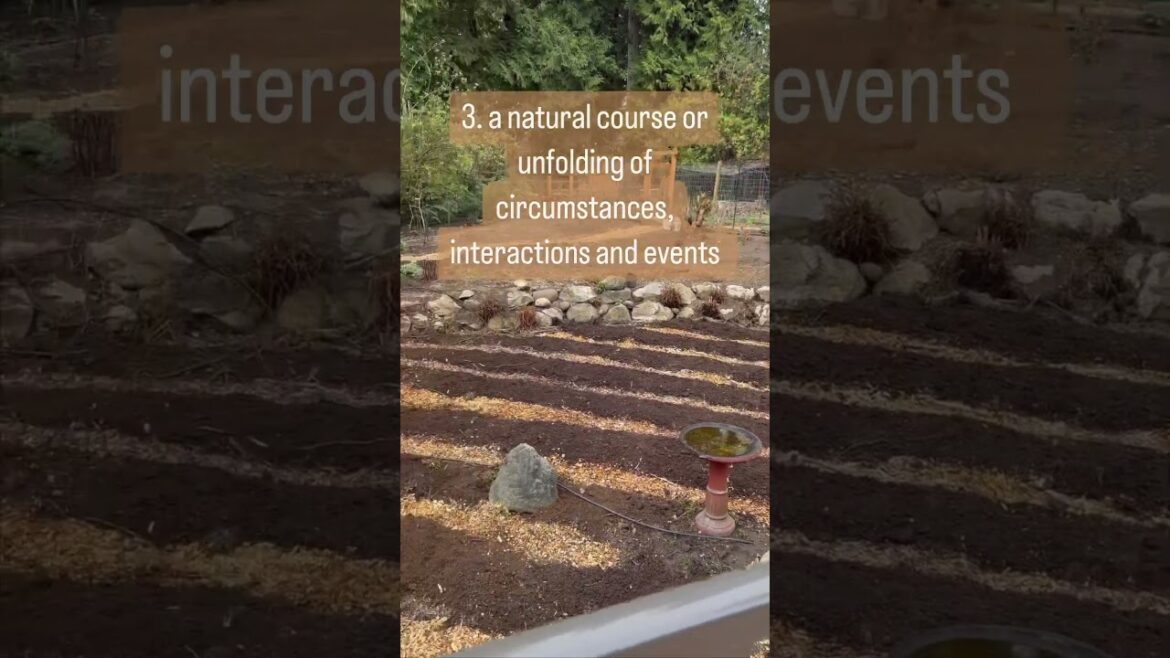 A garden, a metaphor for life…7 similarities. #gardening #landscapedesign A garden, a metaphor for life…7 similarities. #gardening #landscapedesign