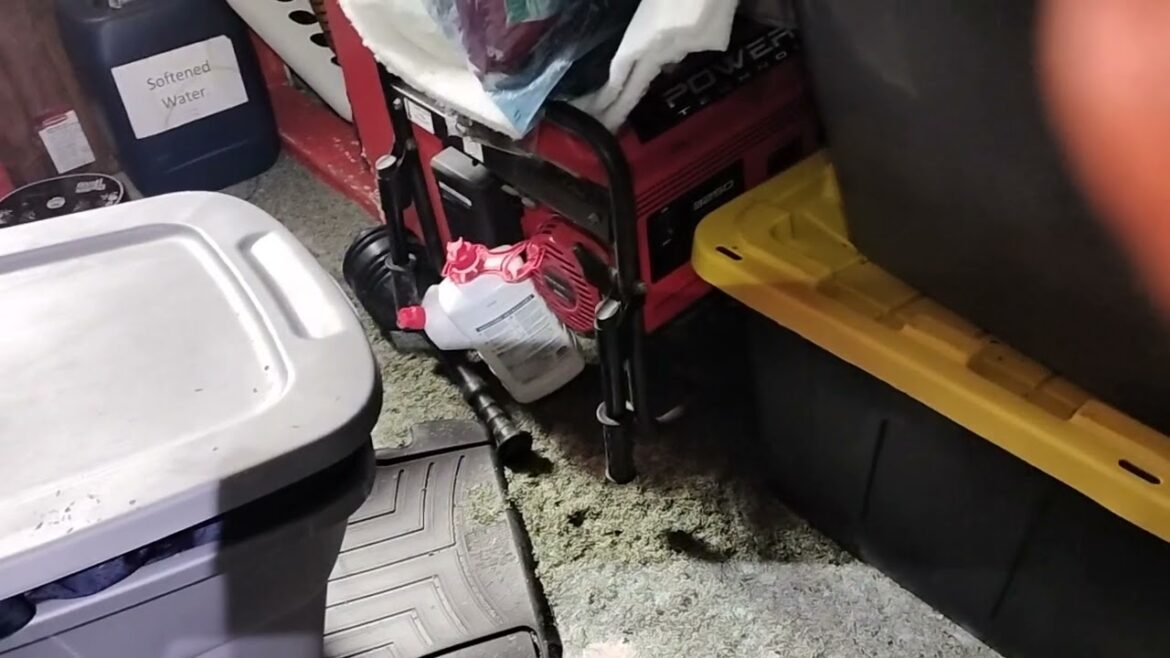 Gardening Supplies Getting Devoured by Mice