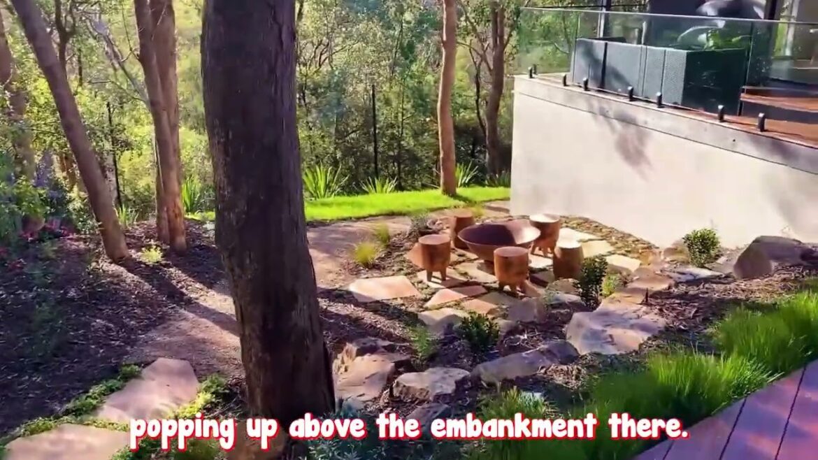 A Garden Design story in Warrandyte by Chris!