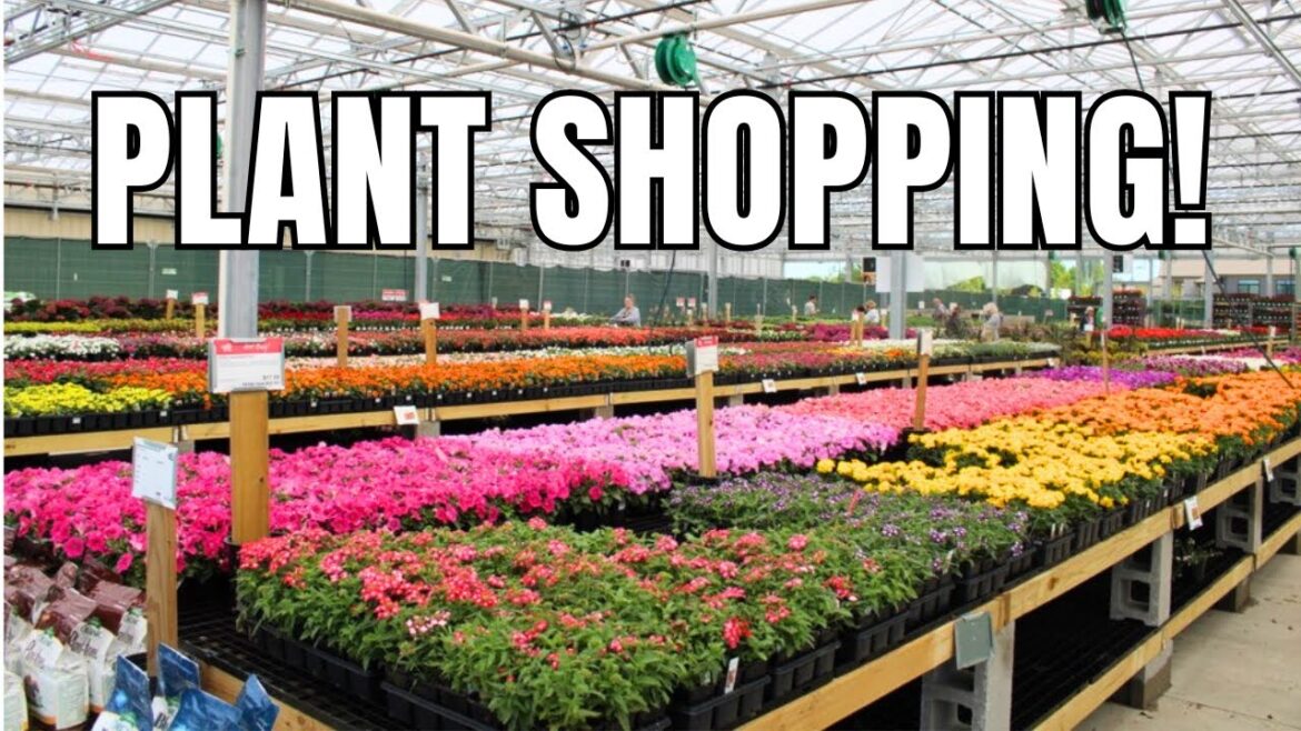 ๐ป PLANT SHOPPING || Garden Nursery Tour – Green Acres || Garden Center || Plant Nursery Tour ๐ป PLANT SHOPPING || Garden Nursery Tour - Green Acres || Garden Center || Plant Nursery Tour
