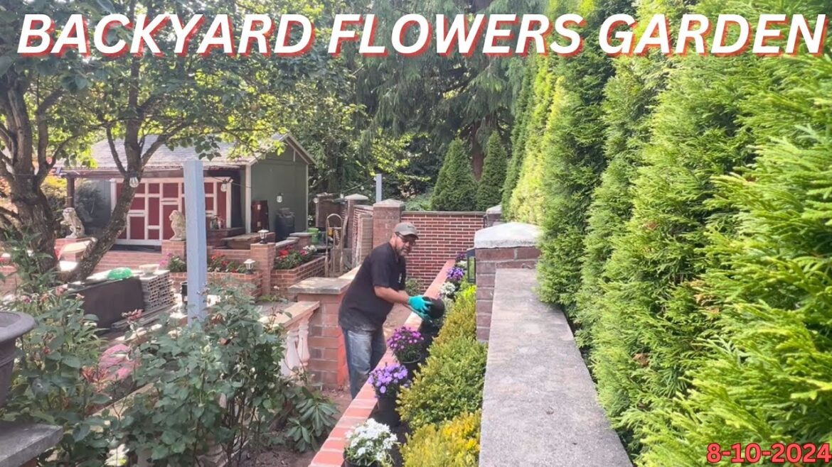 Small Backyard Garden Landscaping Ideas សួនផ្កាខាងក្រោយផ្ទះ #garden #backyardgardening #flowers Small Backyard Garden Landscaping Ideas សួនផ្កាខាងក្រោយផ្ទះ #garden #backyardgardening #flowers