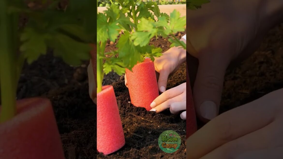 Clever Hacks for Growing a Healthy Garden!
