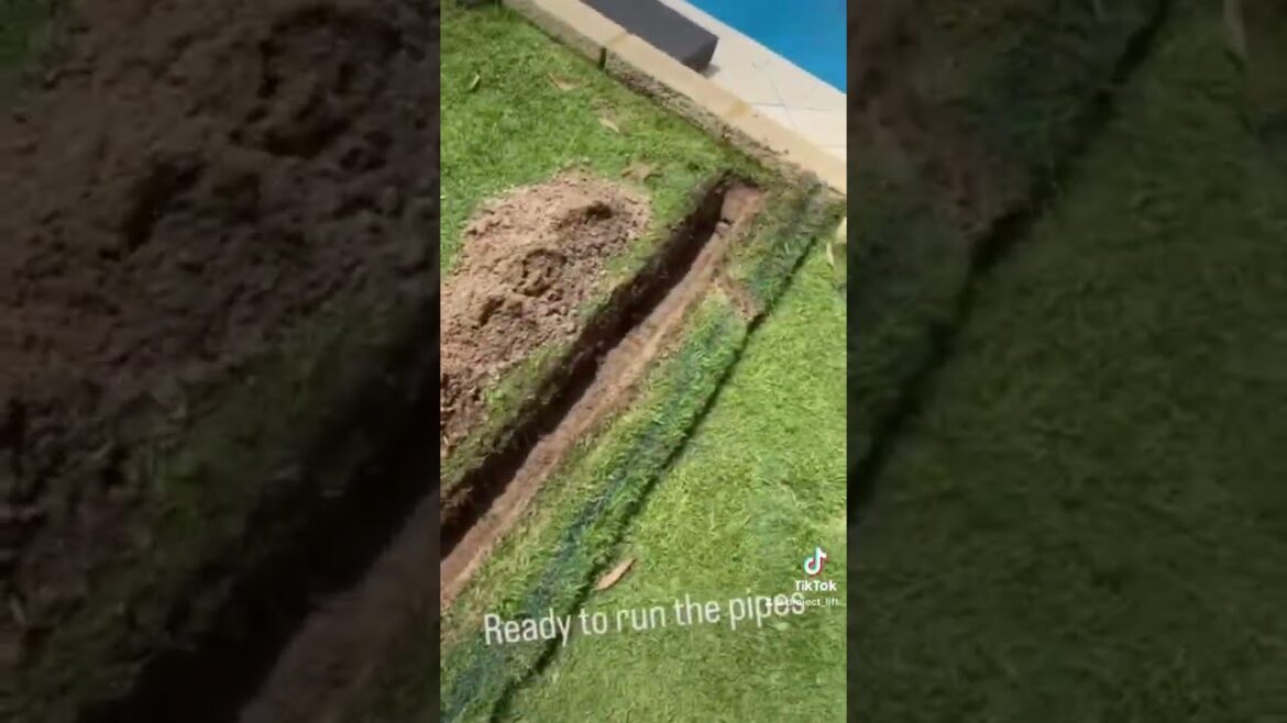 Epic Backyard Makeover! You can do this too. 🌴 (Subscribe for future tips) #shorts Epic Backyard Makeover! You can do this too. 🌴 (Subscribe for future tips) #shorts