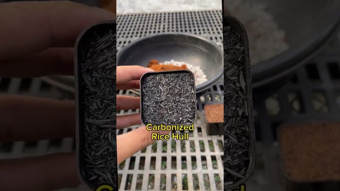 2024’s Must-See Garden Trends 🌿 A Visual Journey Through Nature’s Best!