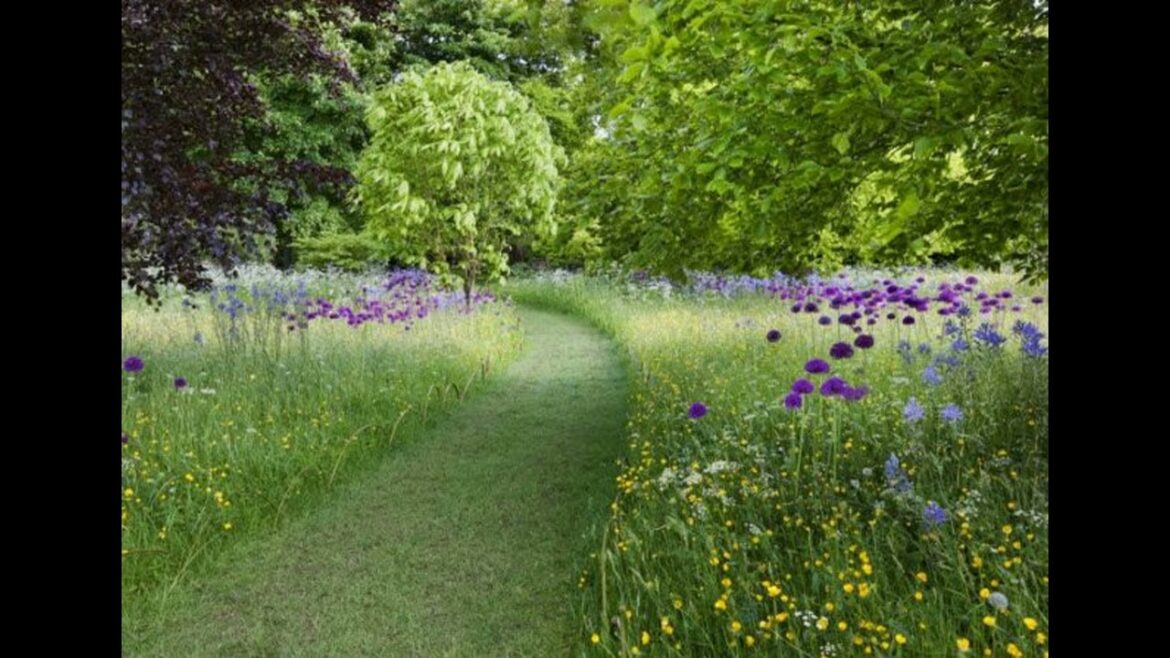 011 Reconnecting 011 Reconnecting