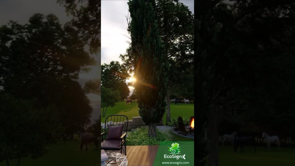 Backyard Design | Nature  #3dvisualization #outdoordesign #landscapedesign #gardendesign #shorts