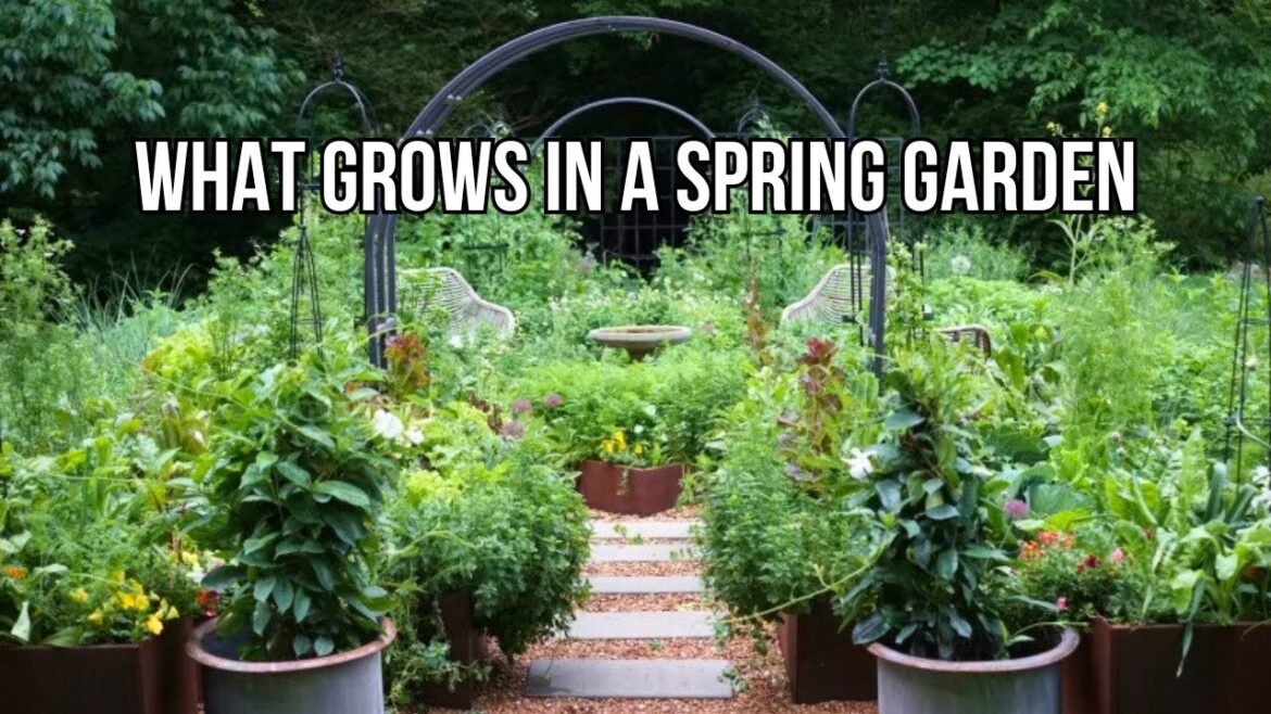 See Inside Drew and Ellie Holcomb’s Backyard Garden See Inside Drew and Ellie Holcomb's Backyard Garden