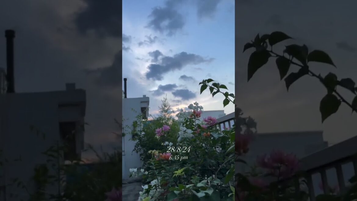 Nature ❤
