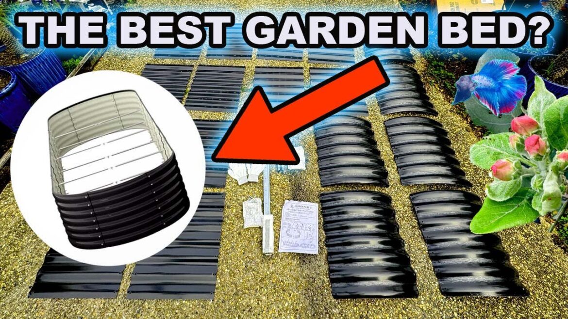 Are CHEAP EBAY GARDEN BEDS Any Good? Are CHEAP EBAY GARDEN BEDS Any Good?