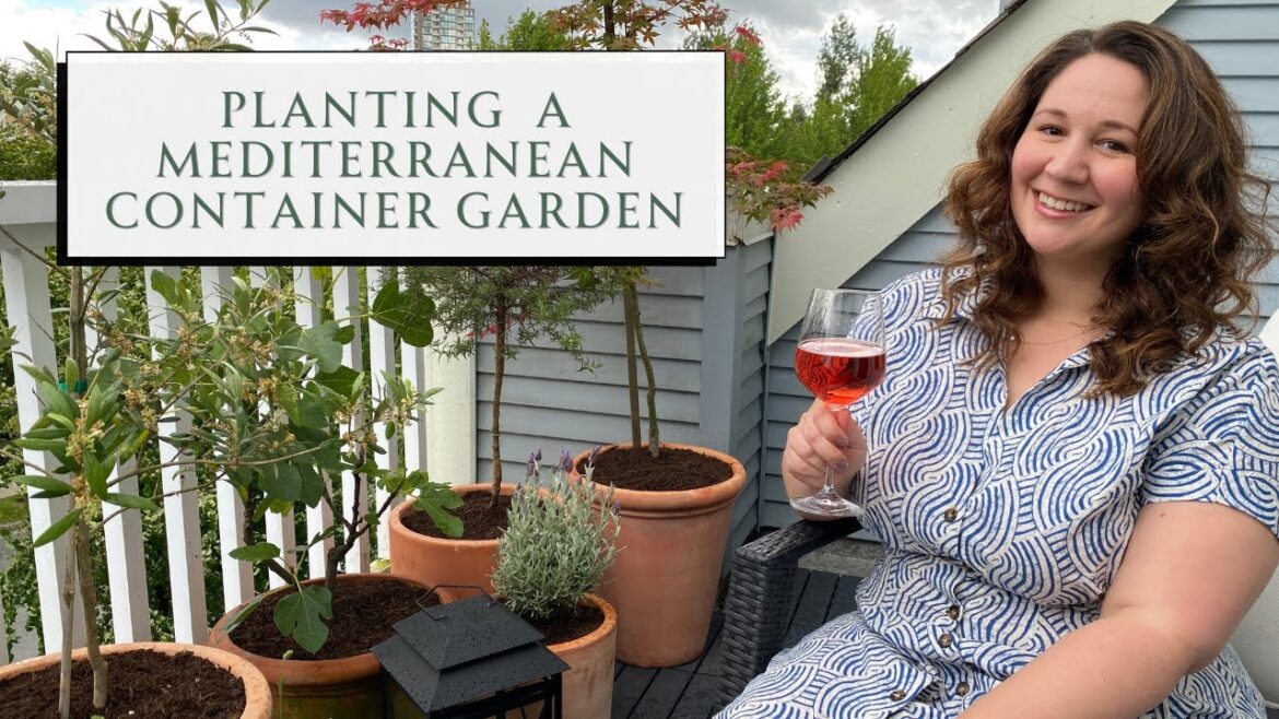 Planting a Mediterranean Container Garden 🪴🌿 Townhouse Gardening | SEASON & SERVE BLOG