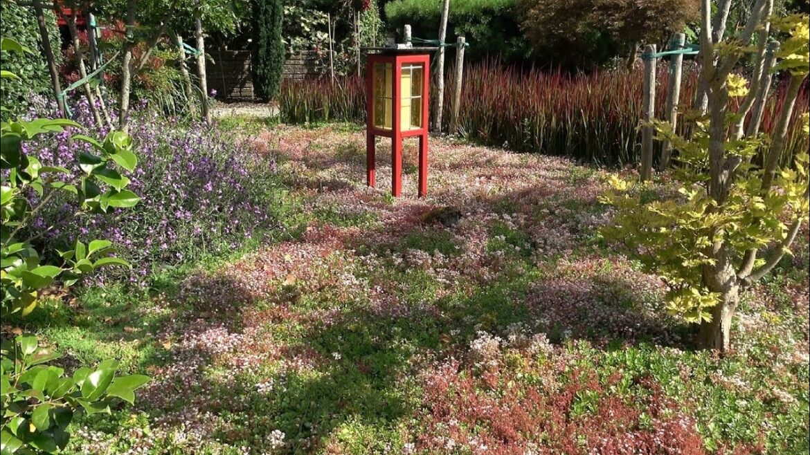 Beautiful Japanese Garden Beautiful Japanese Garden