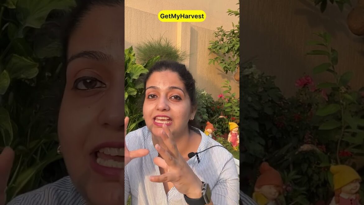 Gardening for Beginners | Full Video Out | Q & A #shorts Gardening for Beginners | Full Video Out | Q & A #shorts