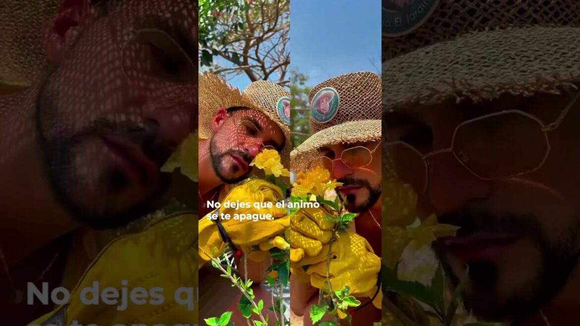 Never lose hope! #motivation #viralvideos #shorts #gardener Never lose hope! #motivation #viralvideos #shorts #gardener