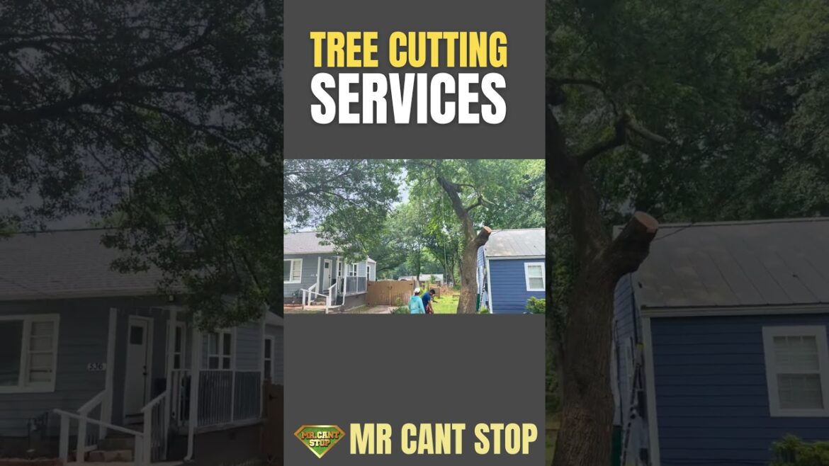 Transforming landscapes, one tree at a time! #treecutting #treeremoval #treecare Transforming landscapes, one tree at a time! #treecutting #treeremoval #treecare