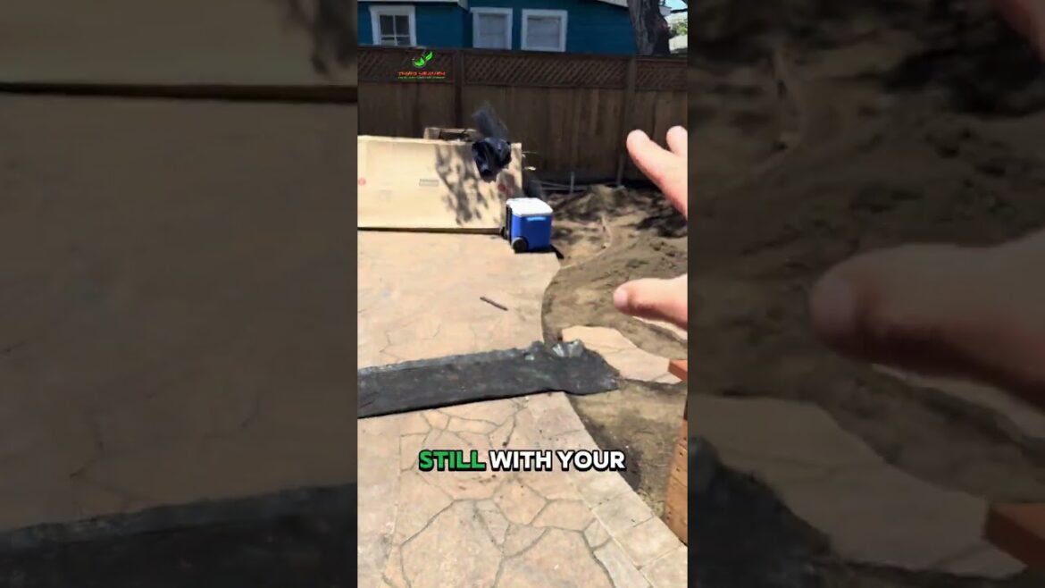 Transform Your Backyard with This Stunning Flagstone Alternative! π‘β¨ Transform Your Backyard with This Stunning Flagstone Alternative! π‘β¨