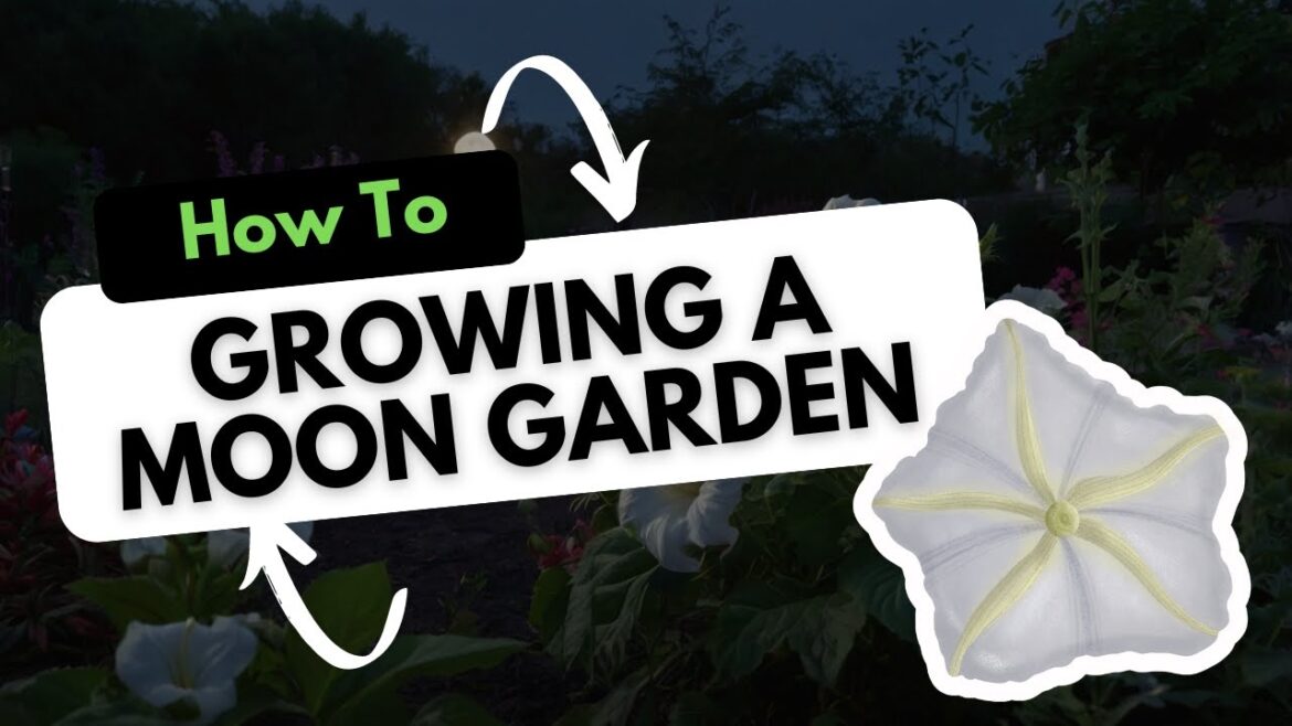 Growing a Moon Garden: Plants that Bloom at Night Growing a Moon Garden: Plants that Bloom at Night