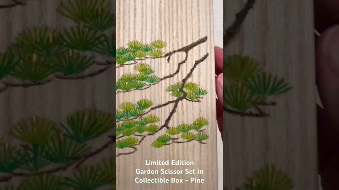 Limited Edition Japanese Gardening Scissor Set in Hand Painted Collectible Box “Pine” #specialgifts