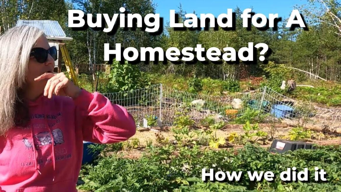 HOW WE BOUGHT RAW LAND | Garden Tour Ep8