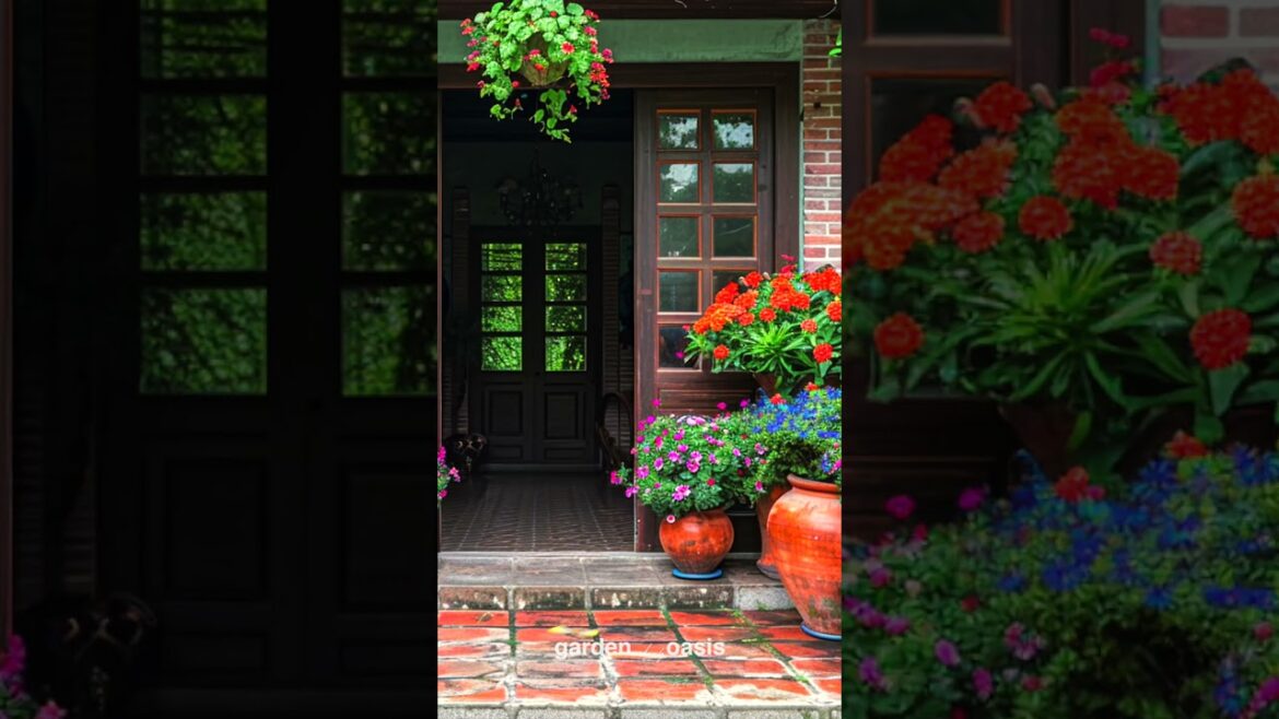 Front Yard Landscape Ideas p.50 #garden #shorts #frontyarddesign