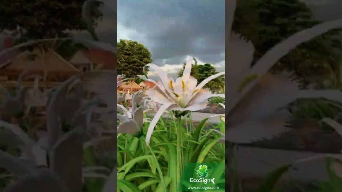 Ourdoor Design | Sunset #3dvisualization #3denvironment #gardendesign #3darchitecture #shorts