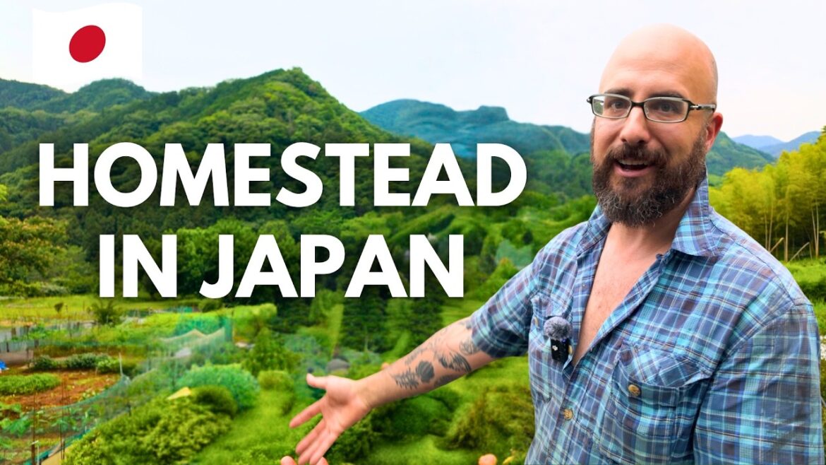 Turning an Abandoned Japanese Village Into a Permaculture Paradise Turning an Abandoned Japanese Village Into a Permaculture Paradise