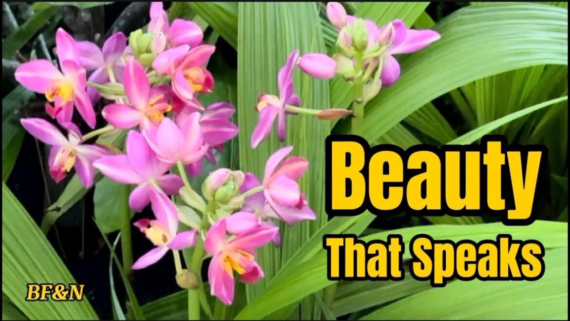 Crafting Beauty in a Symphony of Flowers Crafting Beauty in a Symphony of Flowers