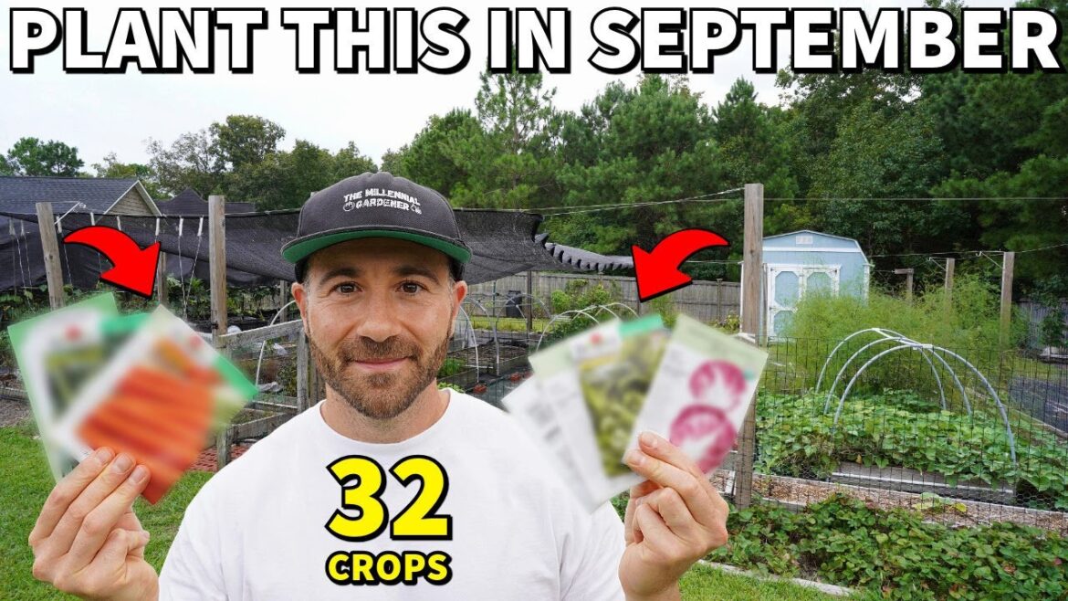 32 VEGGIES To Plant In September NOW For A Beautiful Fall Garden! 32 VEGGIES To Plant In September NOW For A Beautiful Fall Garden!