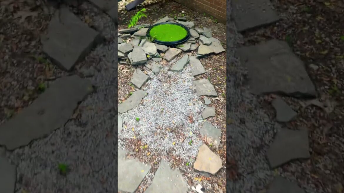Zen garden design #shorts #shortsfeed #shortsvideo