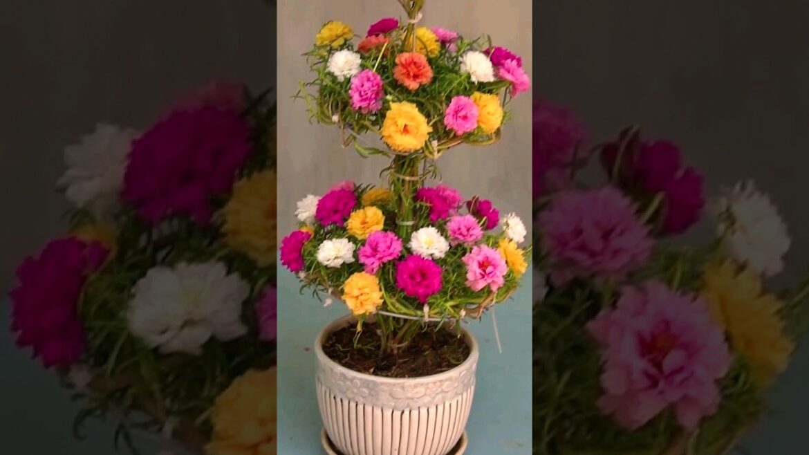 Discover ❣️💞❤😇creative and inspiring ideas #shorts #flowersofinstagram Discover ❣️💞❤😇creative and inspiring ideas #shorts #flowersofinstagram