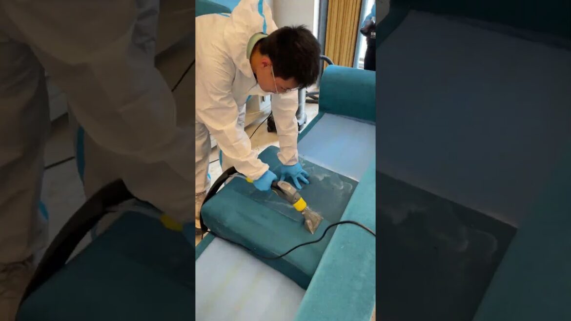 Quick House Cleaning 6 #YardCleanUp #LawnCare #LawnMaintenance #GardeningTips #TrimmingTips