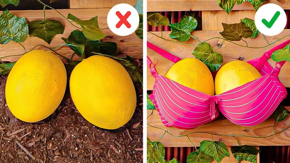 Simple Garden Hacks And Tips That Really Work