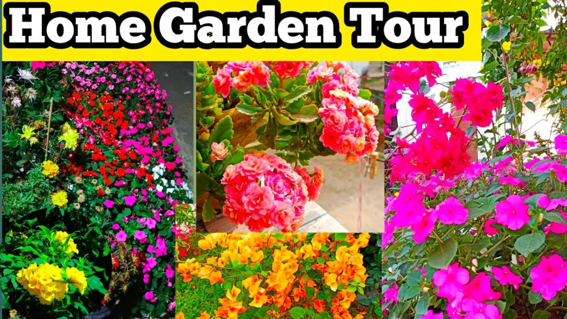 Home Garden Tour | House Plant | Home Garden Ideas Home Garden Tour | House Plant | Home Garden Ideas