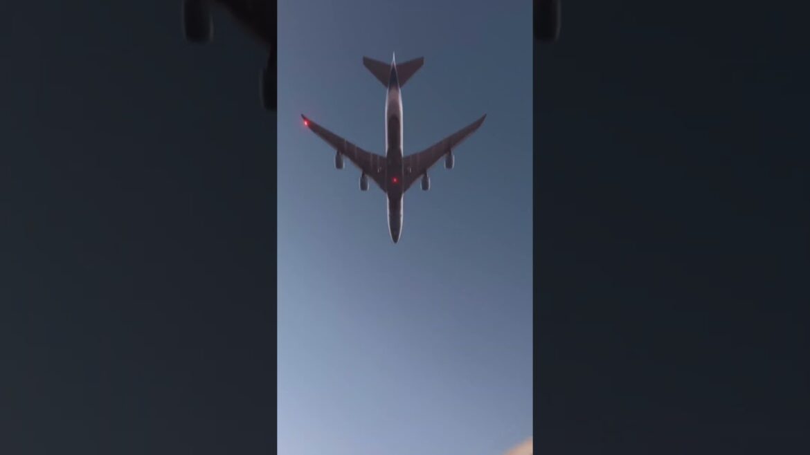 All problems solutions only one #reels #viralshort #naturelovers