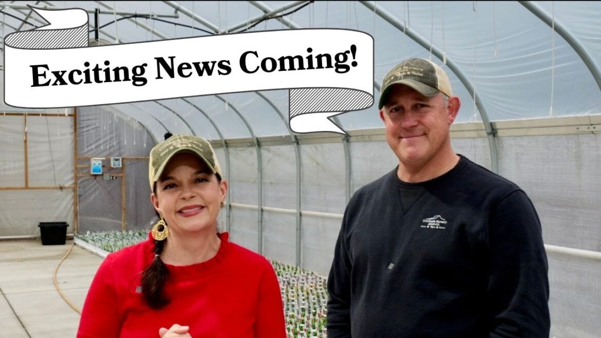 BIG Announcement Heading Your Way!!! BIG Announcement Heading Your Way!!!