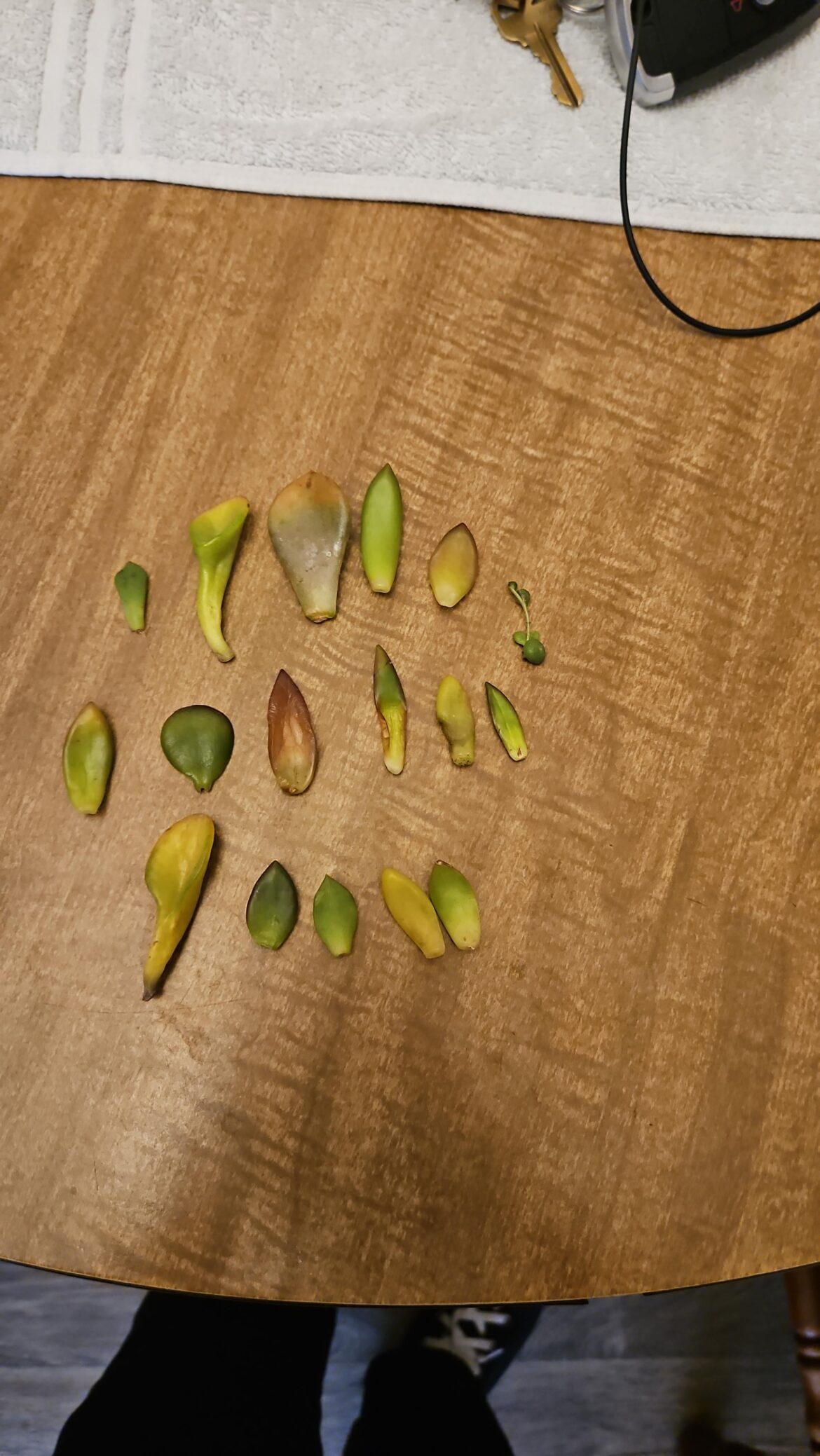 I can't be trusted in a lowes