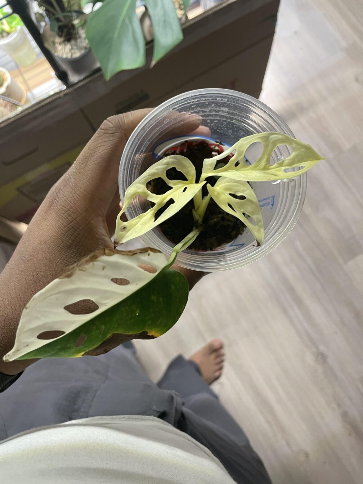 Propagation failed successfully
