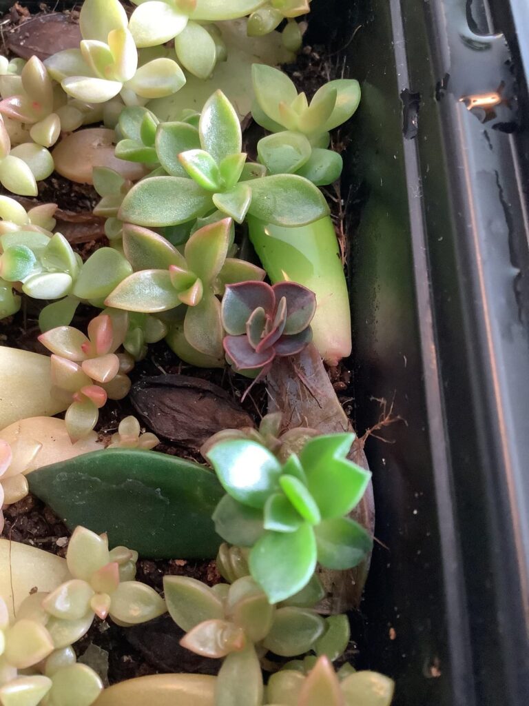 PROPAGATION, NO BREATHING