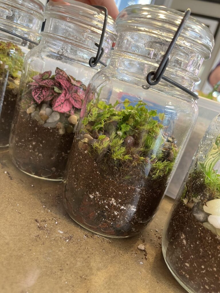 Took my nieces to a terrarium making class Took my nieces to a terrarium making class