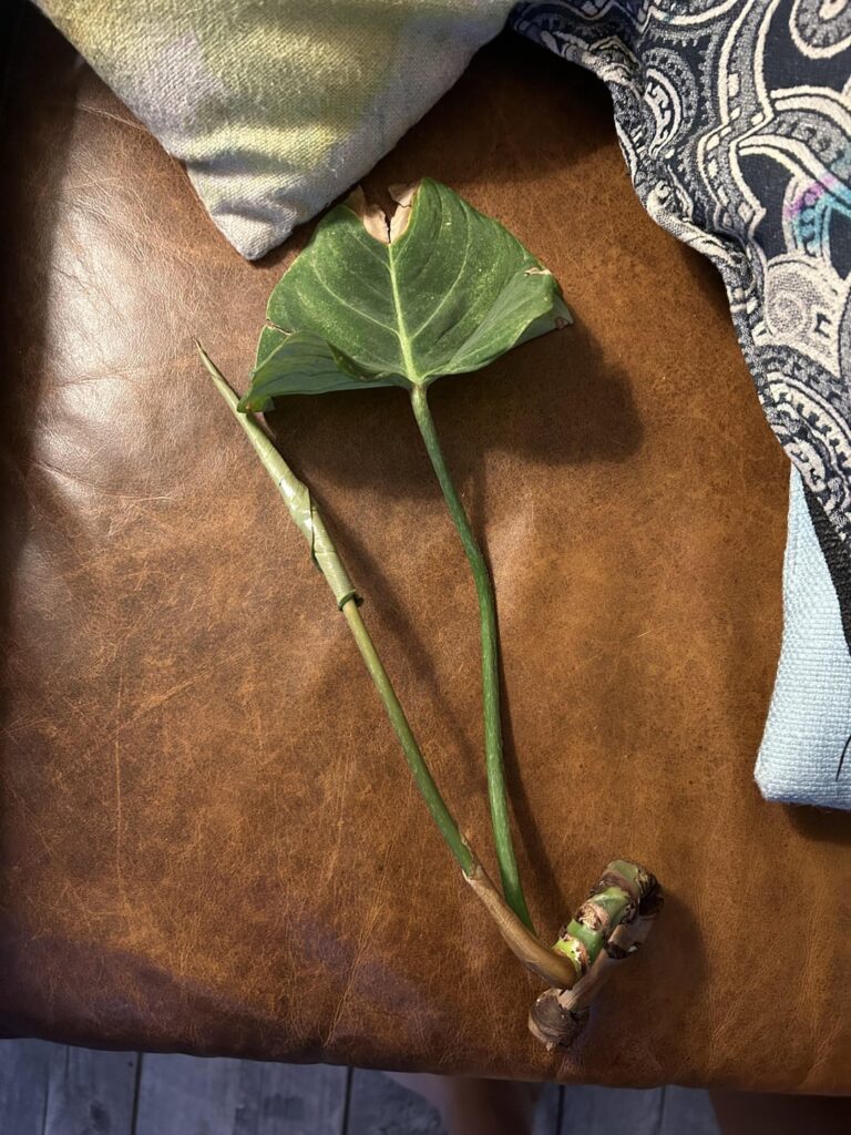 How to go about propping this?