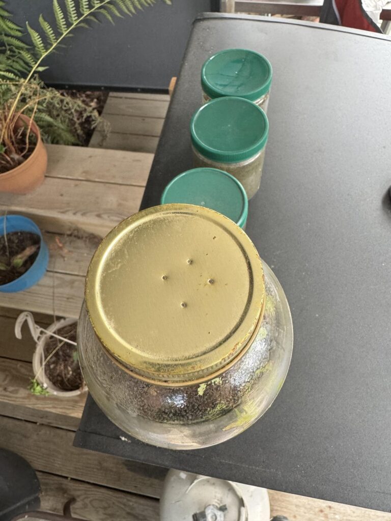 Can you guide me with my accidental jars?