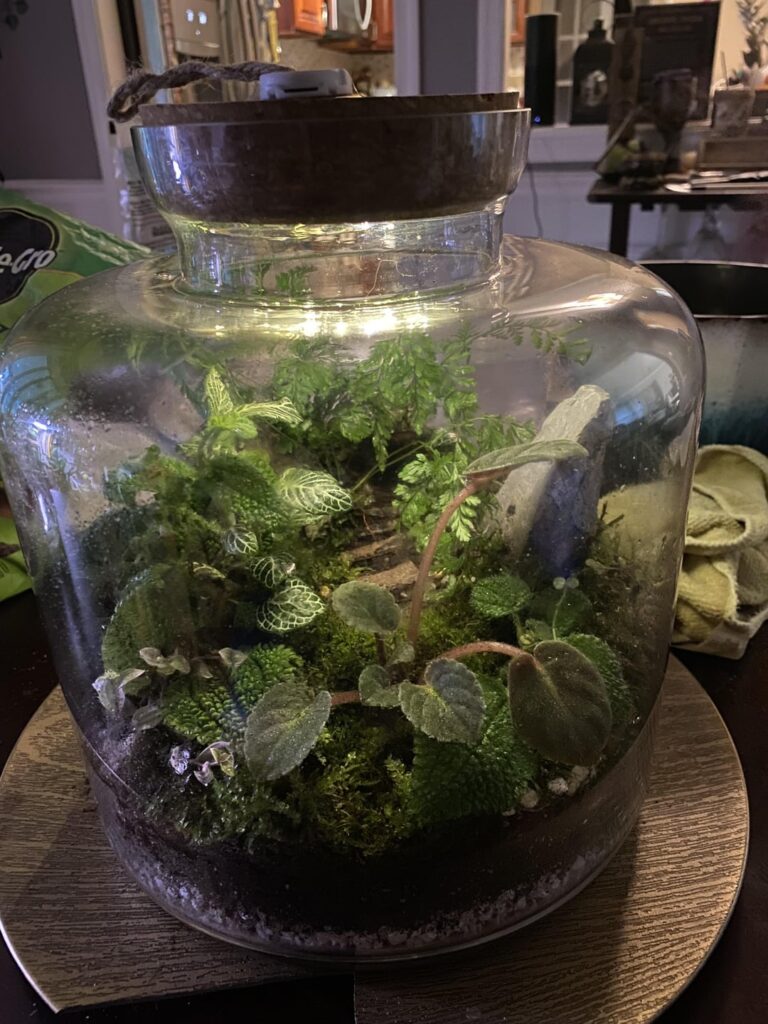 My first larger scale jarrarium! ☺️ Just finished it tonight! Should I add anything else?