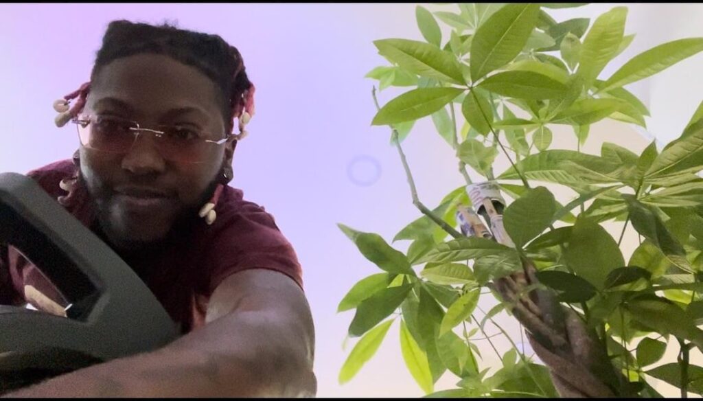 Wish me luck on propagating money tree