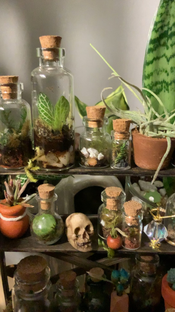 I made a bunch of tiny terrariums then obviously needed to create a tiny garden shelf to put them on…