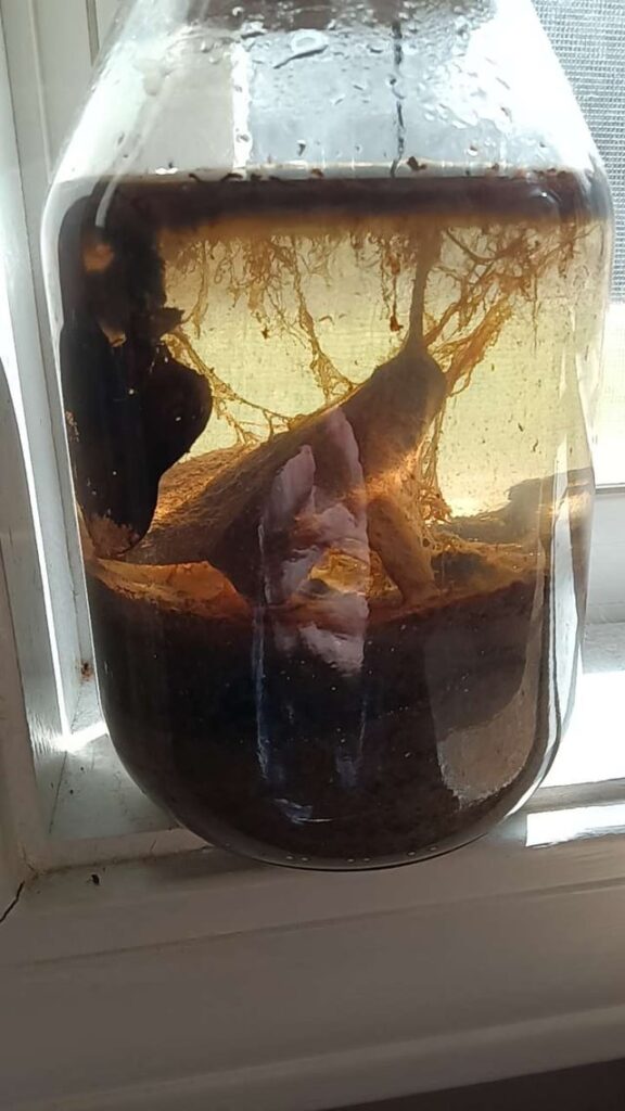 My eco jars ive made recently(first attempts)