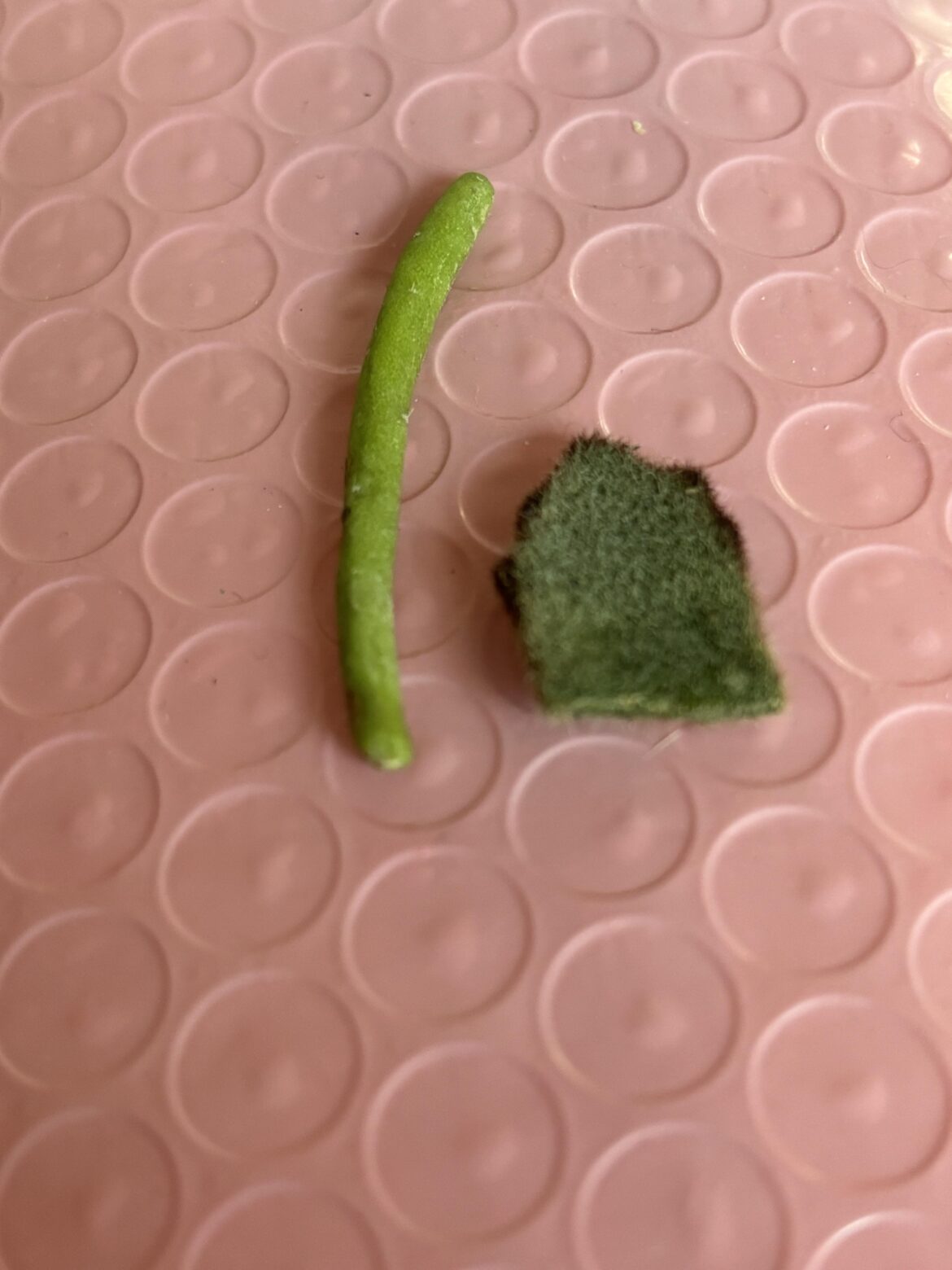 Second time proplifting…who are these guys, and can they just be put in the soil?