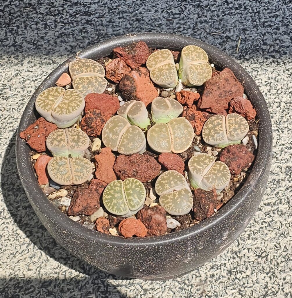 First repot!